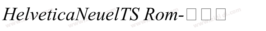 HelveticaNeuelTS Rom字体转换